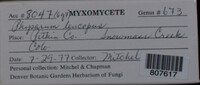 Image Associated With the Occurence